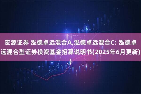 宏源证券 泓德卓远混合A,泓德卓远混合C: 泓德卓远混合型证券投资基金招募说明书(2025年6月更新)