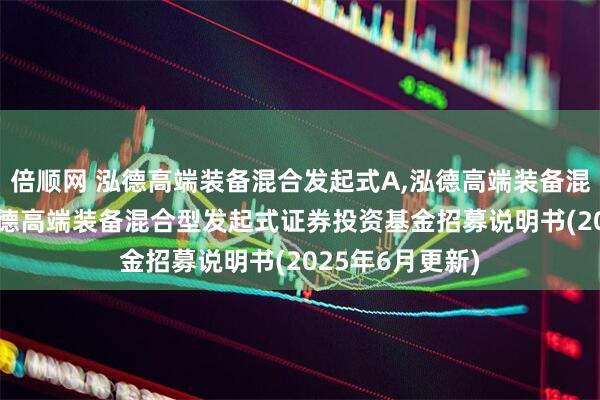 倍顺网 泓德高端装备混合发起式A,泓德高端装备混合发起式C: 泓德高端装备混合型发起式证券投资基金招募说明书(2025年6月更新)
