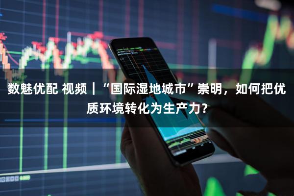 数魅优配 视频｜“国际湿地城市”崇明，如何把优质环境转化为生产力？
