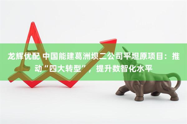 龙辉优配 中国能建葛洲坝二公司平坦原项目：推动“四大转型”，提升数智化水平
