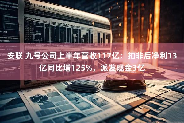 安联 九号公司上半年营收117亿：扣非后净利13亿同比增125%，派发现金3亿