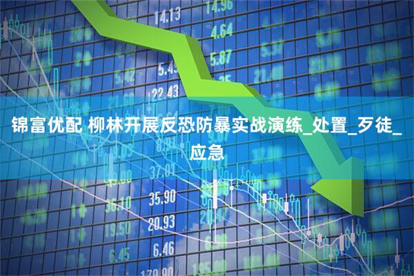 锦富优配 柳林开展反恐防暴实战演练_处置_歹徒_应急