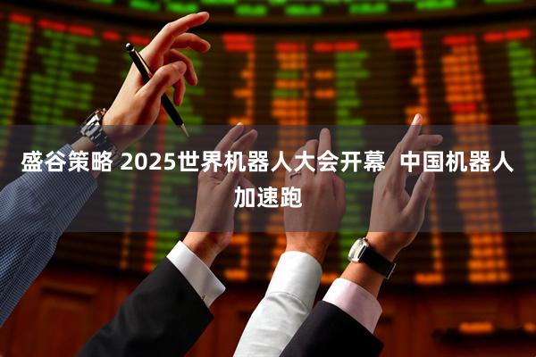 盛谷策略 2025世界机器人大会开幕  中国机器人加速跑