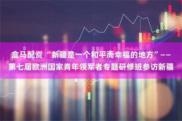 盒马配资 “新疆是一个和平而幸福的地方”——第七届欧洲国家青年领军者专题研修班参访新疆