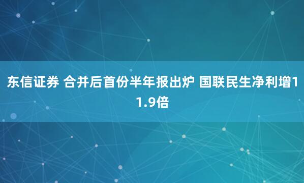 东信证券 合并后首份半年报出炉 国联民生净利增11.9倍